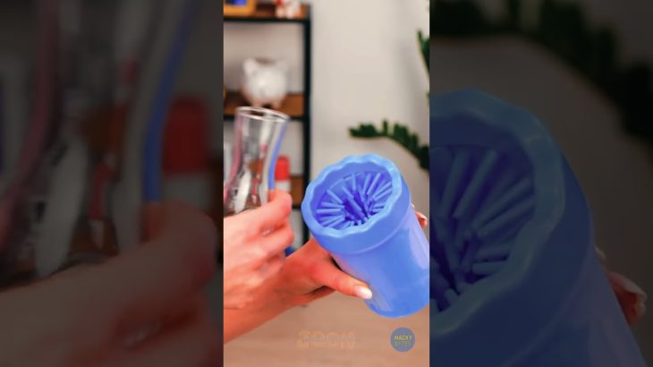 THE PET GADGET EVERY OWNER NEEDS! 🐾✨ #Shorts #LifeHacks #Dogs #Cats