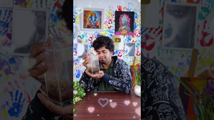 Tarantula pet Art ? 😱🤯 #shorts #trending #viralvideo