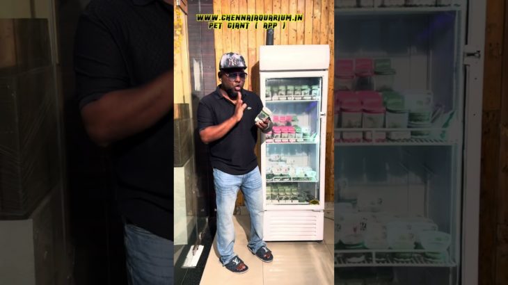 Tc cup plants in stock | pet giant app #exoticaquariumfish #aquariumplant #plantedtank