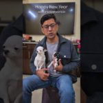 Thank you for trusting Sri Sai Pet World, wishing you Happy New Year #happynewyear #srisaipetworld