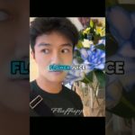 This Man Takes His Tiny Pet EVERYWHERE? #shorts