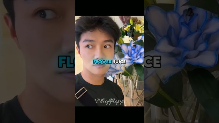 This Man Takes His Tiny Pet EVERYWHERE? #shorts