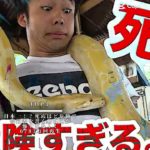 [Top5]フィッシャーズ再生回数ランキング！#500人目標