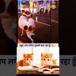 😂😂 Wait for end 😅 #funny #cute #pet #try #viral #animal  #funny @MrBeast @WaveMusicIndia