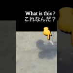 What is this?これなんだ🎣#fishing#octopus