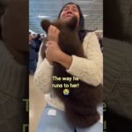 You don’t choose the pet… The pet chooses you