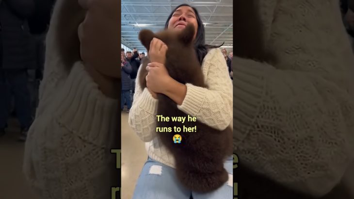 You don’t choose the pet… The pet chooses you