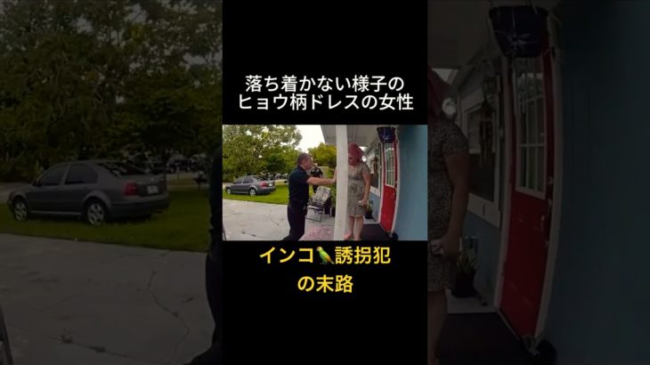ペットショップで起きた不可解な事件｜盗まれたのは高級インコ #アメリカ警察 #bodycam