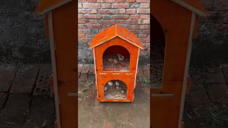 cabin pet shelter #cat shelter #dog shelter #pet shelter