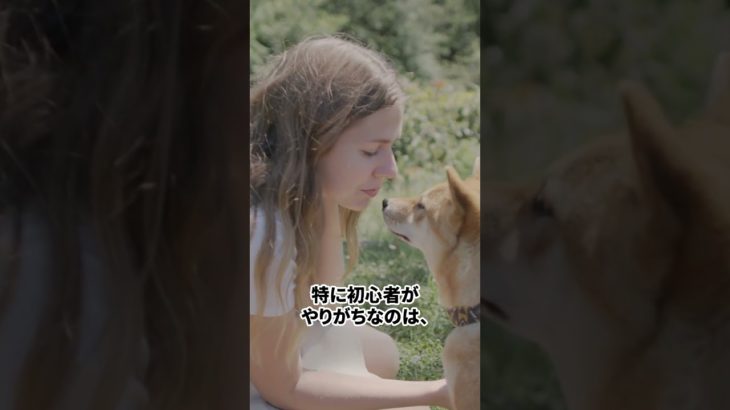 褒めているつもりが信頼を壊す。#犬#dog #ペット#躾あるある#犬雑学