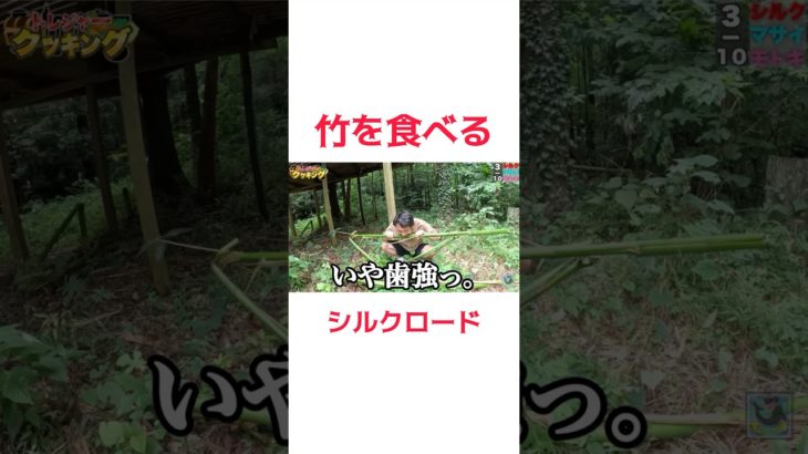 竹を食べるシルクロード#フィッシャーズ #フィッシャーズ切り抜き #fischers #shorts
