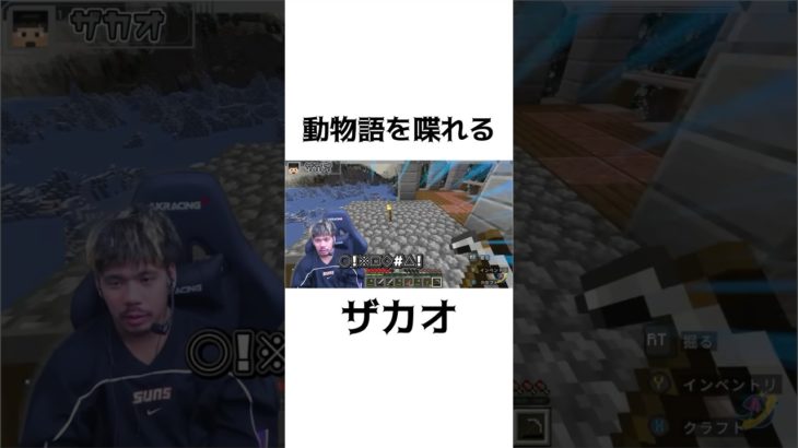 ザカオさんあつ森の住人説#フィッシャーズ #フィッシャーズ切り抜き #fischers #shorts