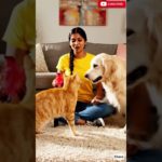 #kitten #cat #catvideos #kitten_video #funnycat #funnycatvideos