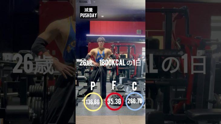 減量フル食　push day