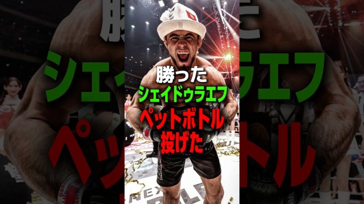 【大問題】逆恨みファンが選手にペットボトルを投げる⁉︎#朝倉未来#ラジャブアリシェイドゥラエフ#rizin#師走の超強者祭り#ペットボトル#平本蓮#鈴木千裕#萩原京平#秋元強真#クレベルコイケ