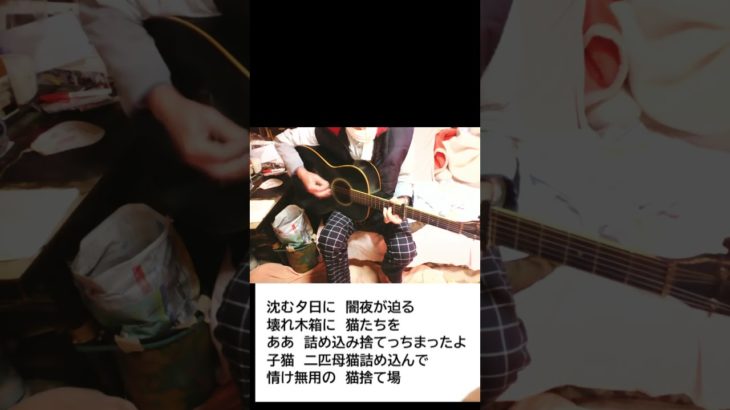 練習　⑨　　   #shorts　#！替え歌！「猫のドラマ」　　#創作集団・野火  #ペット「替え歌・作詞挑戦」「芸猫一家」