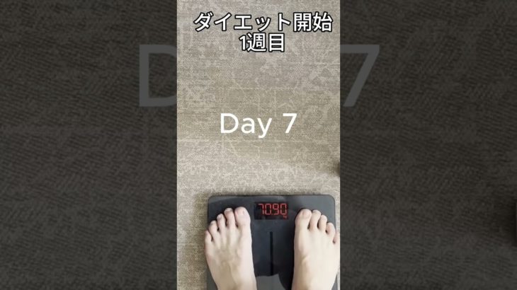 夏に向けてダイエットを始めました #shorts #ダイエット #筋トレ #減量