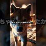『部屋に残った温度』#shorts #泣ける犬 #ペットロス