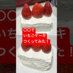 ○○でいちごケーキつくってみた！#shorts  #美容  #料理 #簡単レシピ #スイーツ#ダイエット#おうちごはん