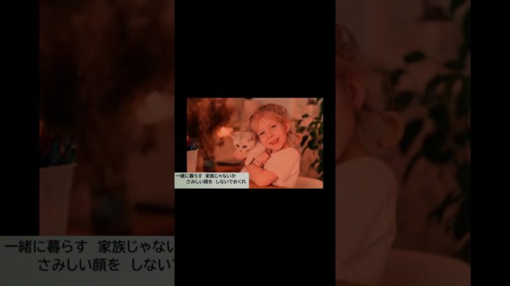 子猫のいのち　●　竹藪の中に段ボールに入れられた親子の猫たちがいたる生きているのは凝る子一匹だけ・・・。   #shorts　#！替え歌！「猫のドラマ」　　#創作集団・野火  #ペット