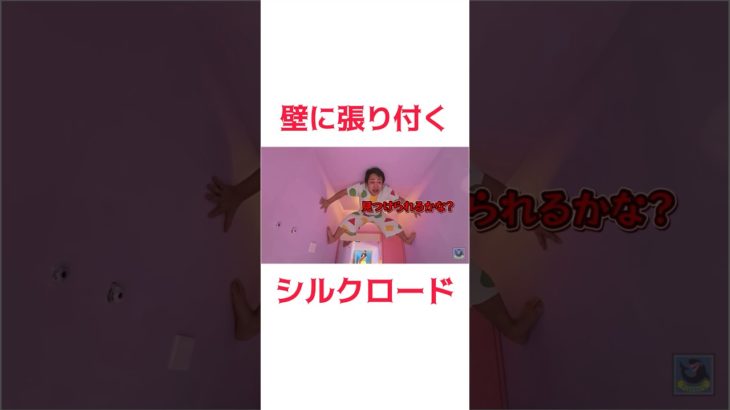 壁に張り付くシルクロード#フィッシャーズ #フィッシャーズ切り抜き #クレヨンしんちゃん #shorts