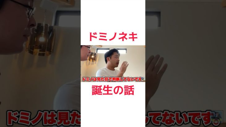 伝説のドミノネキ誕生の話#フィッシャーズ #フィッシャーズ切り抜き #shorts