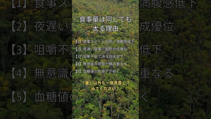 【食事量は同じでも太る理由】  #生活習慣 #健康 #ダイエット #shorts