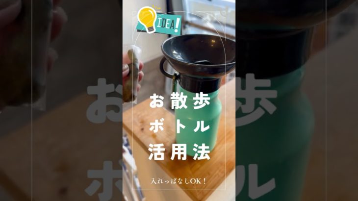 ペットの飲み水 外出先で新鮮に保つ方法 #ペット #水質改善 #tips