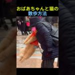 ミラノ猫の特別な散歩法🐈