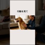 ワンちゃんのあくびには色々な意味があります・・・ #ペット #あくび #犬好きさんと繋がりたい #ストレス