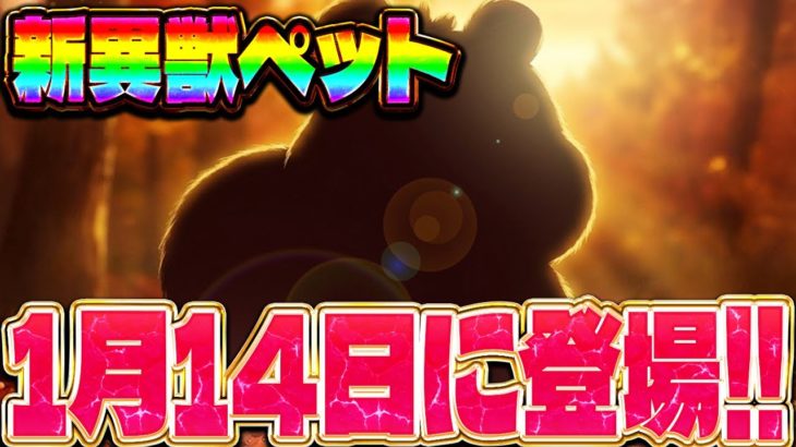 【アプデ情報】｢新異獣ペット｣が遂に登場!!!今度のペットはかわいいリス!?【ダダサバイバー】【ダダサバ】