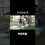 フィッシャーズ仲良死集がおもしろすぎる笑笑 #フィッシャーズ #切り抜き #おもしろ集