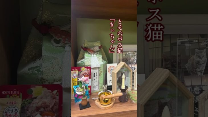 ペット火葬｜ペット納骨堂｜鹿児島市とそ動物霊園