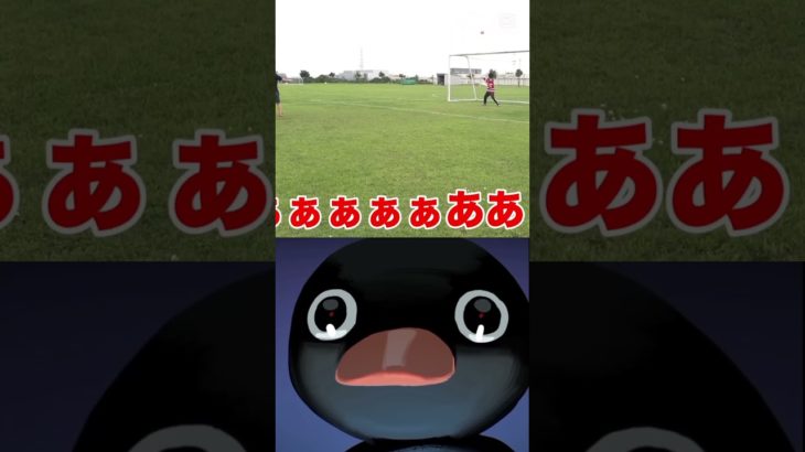 これにはピングーもびっくり#フィッシャーズ#フィッシャーズ切り抜き #シルクロード