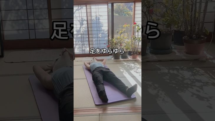 ダイエット・エクササイズ#ダイエットトレーニング  #ダイエット #ショート #宅トレ #エクササイズ #痩せる #痩せる運動 #痩せる筋トレ