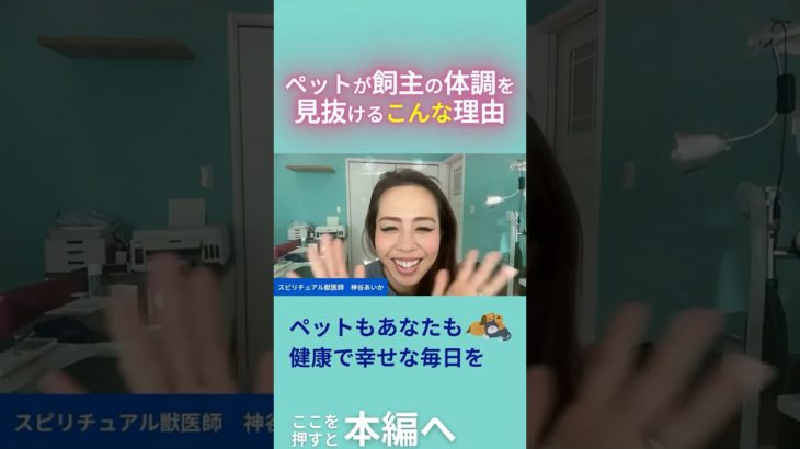 ペットが飼主の体調を見抜けるこんな理由 #ペット #ペットの気持ち