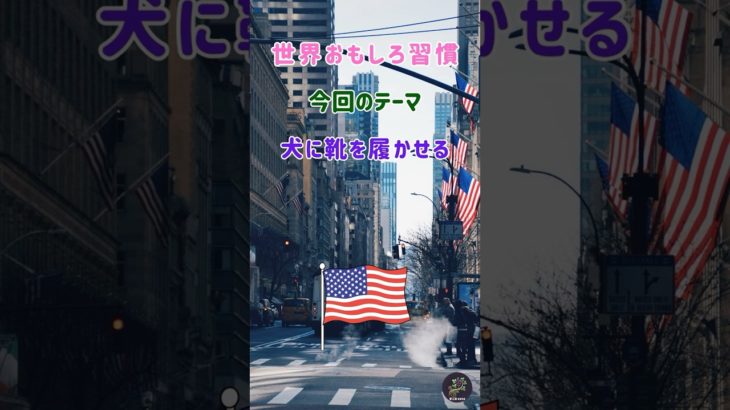 「世界おもしろ習慣」犬に靴を履かせる  アメリカ,ペット文化,マナー,世界の習慣,雑学