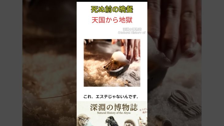 これはペットの動画ではありません。