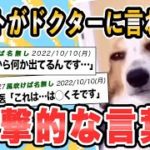 ペットがドクターに言われた衝撃的な言葉　帰ってきたよ４