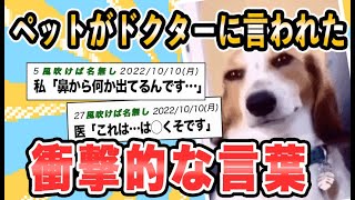 ペットがドクターに言われた衝撃的な言葉　帰ってきたよ４