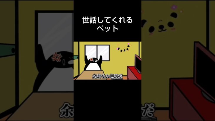 世話してくれるペット #テイコウペンギン #テイペン