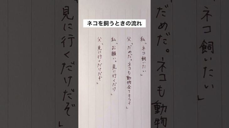 猫を飼う時の流れ #手書き #ボールペン #猫 #ペット