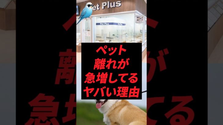 ペット離れが急増してるヤバい理由