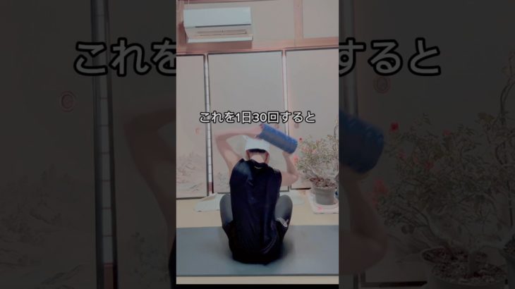 ダイエット・エクササイズ#ダイエットトレーニング  #ダイエット #ショート #宅トレ #エクササイズ #痩せる #痩せる運動 #痩せる筋トレ