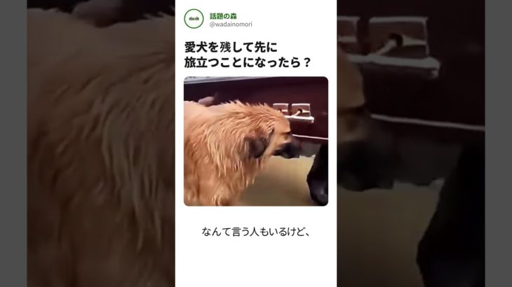愛犬を残して先に逝ってしまったら…？