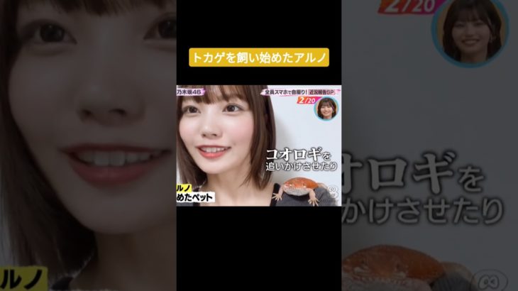 中西アルノのちょっと変わったペット