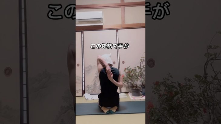 ダイエット・エクササイズ#ダイエットトレーニング  #ダイエット #ショート #宅トレ #エクササイズ #痩せる #痩せる運動 #痩せる筋トレ