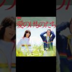 ビューティペアが出したシングルレコードとアルバム