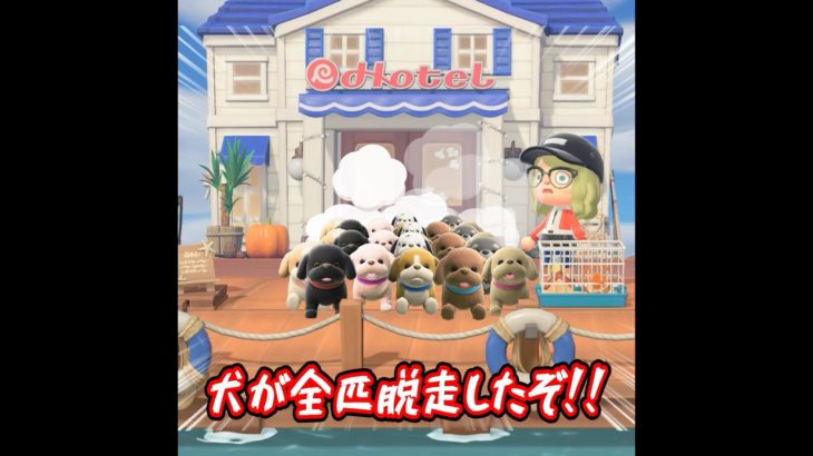 ペットホテルから犬が脱走 #あつ森 #あつ森アプデ