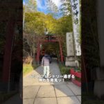 『愛犬と行けるペットフレンドリーな神社』